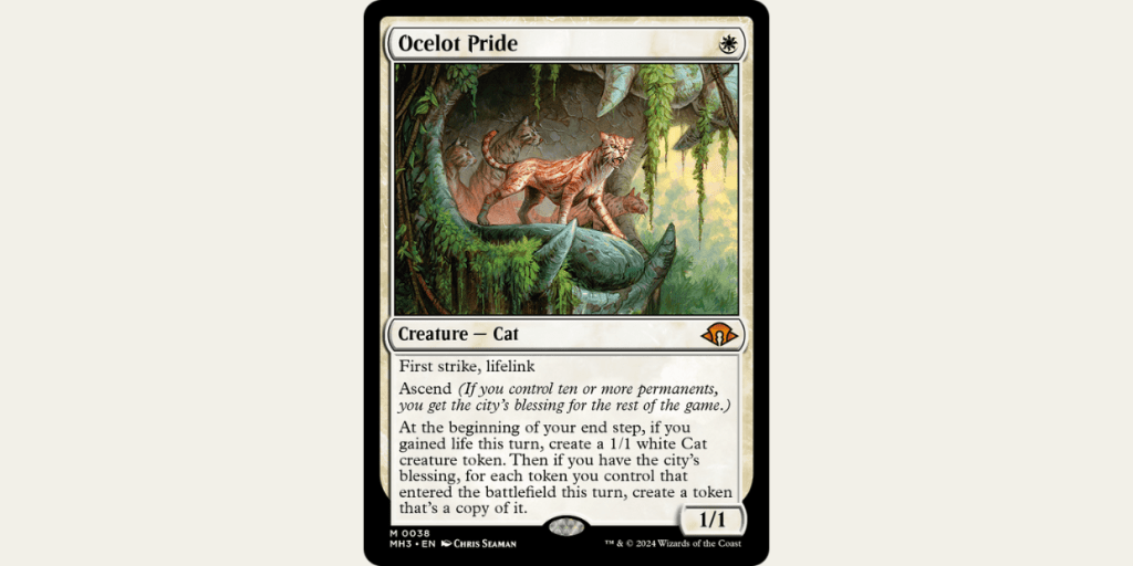 《Ocelot Pride》：Pride 為什麼能表示獅群？